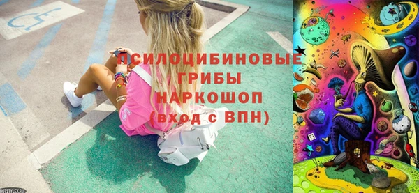 трава Арсеньев