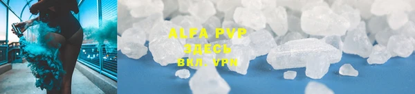ПСИЛОЦИБИНОВЫЕ ГРИБЫ Пролетарск